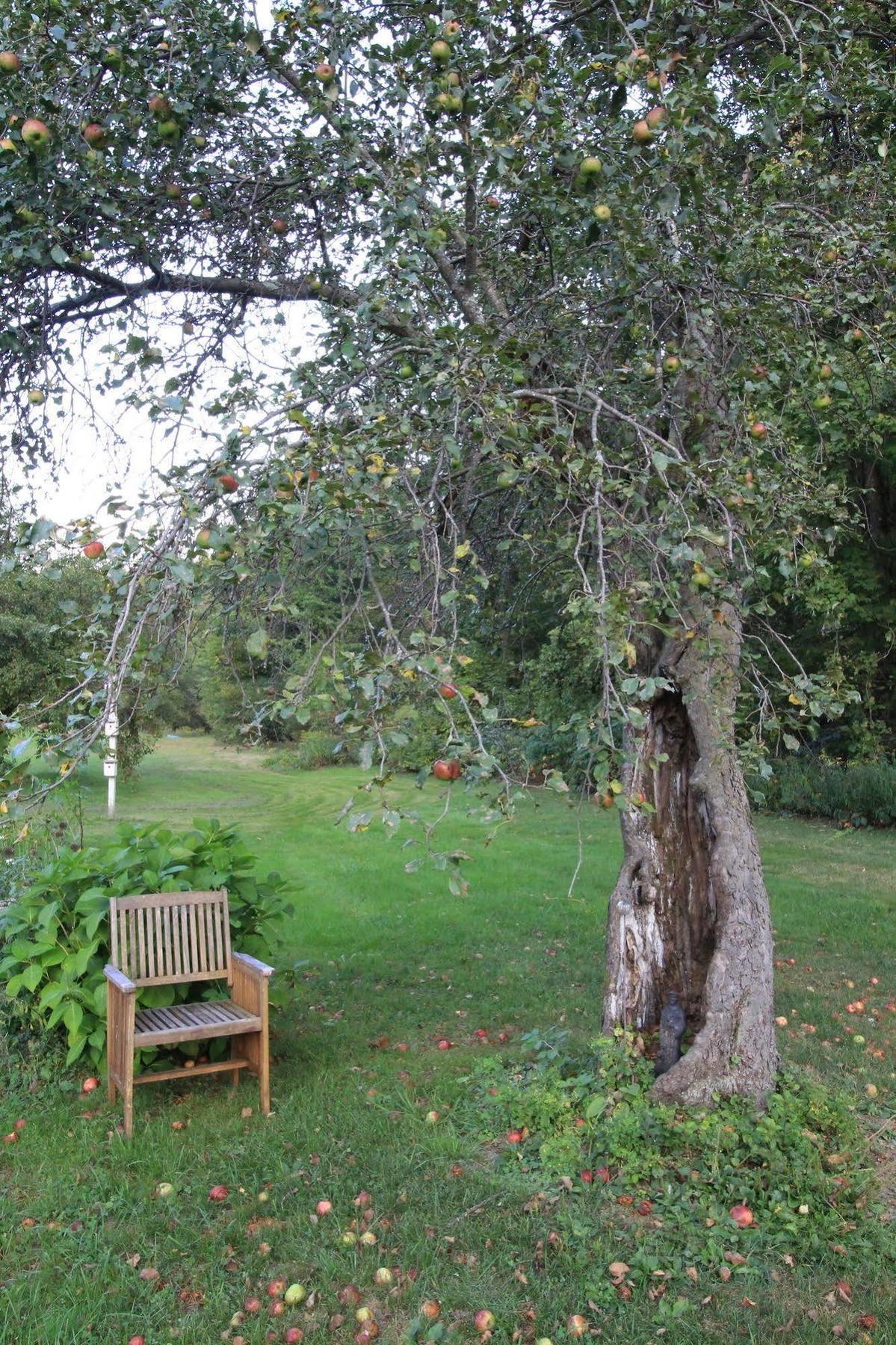 Green River Inn Sandgate Esterno foto